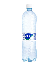 Вода 1,0 л дп