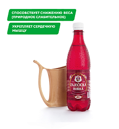 Минеральная вода "Зайечицкая Горькая " 0,5л  (Чехия)